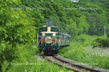 釧路湿原ノロッコ号