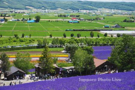 ファーム富田とノロッコ号