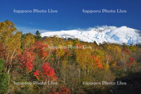 十勝岳連峰と紅葉