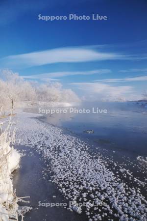 釧路川の樹氷とフロストフラワー