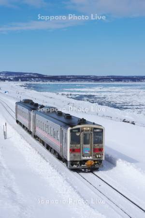 快速しれとこと流氷