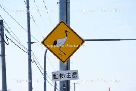 交通標識　動物注意