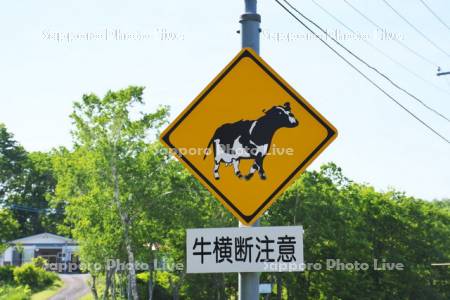 交通標識　牛横断注意