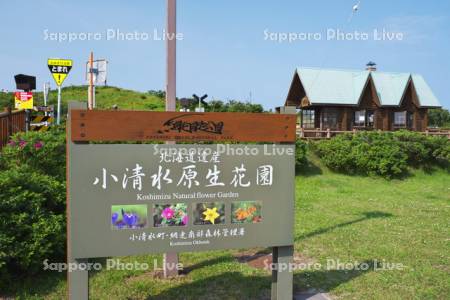 小清水原生花園と原生花園駅