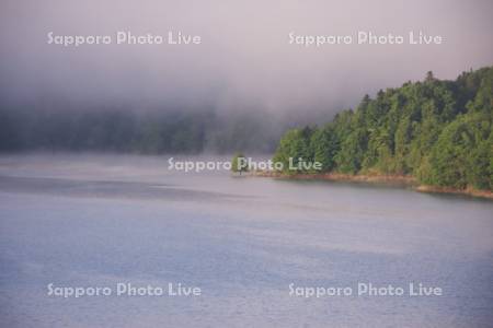 朝霧の桂沢湖