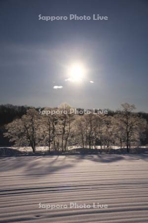 朝の樹氷と太陽