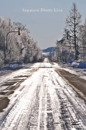 凍った道と樹氷