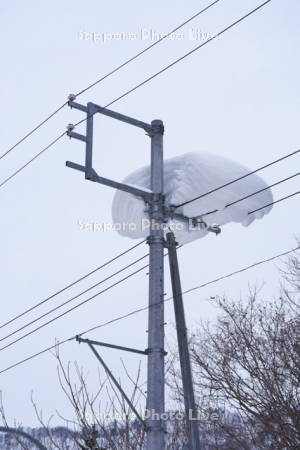 電柱と電線に積もった雪