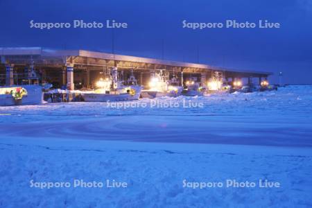 羅臼港のスケソウ船と朝の流氷