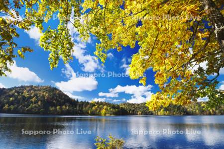 チミケップ湖の秋　紅葉