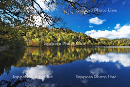 チミケップ湖の秋　紅葉