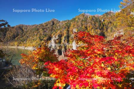 豊平峡ダムの秋