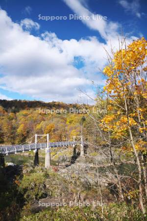 神居古潭と石狩川の紅葉