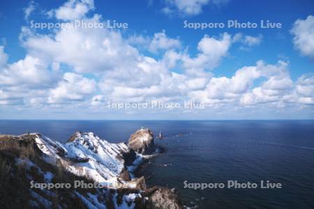 神威岬と神威岩の冬