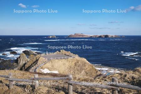 スコトン岬とトド島の冬