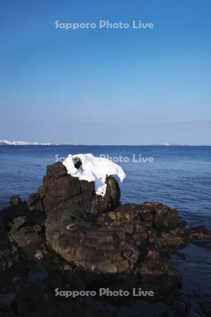 金田ノ岬より望むスコトン岬(左)とトド島(右)