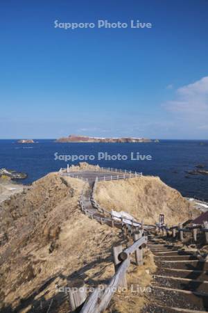 スコトン岬とトド島の冬