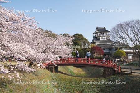 小山城と桜