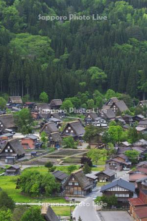 白川郷