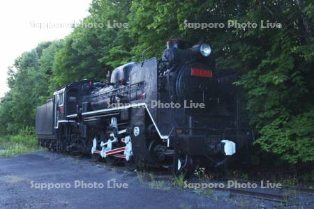 桜山公園の蒸気機関車