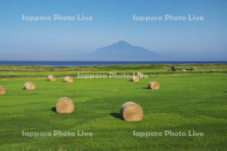 利尻島と日本海と牧草ロール