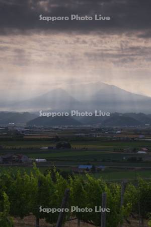 十勝岳連峰と朝の斜光