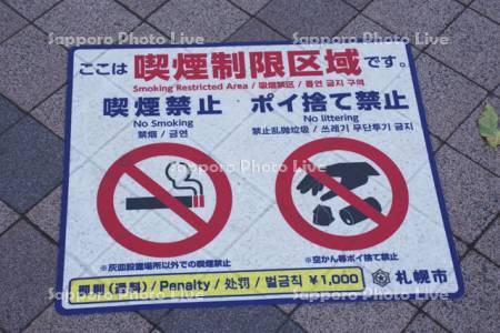 喫煙制限区域の路面表示シート