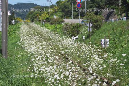 日高本線の廃線跡