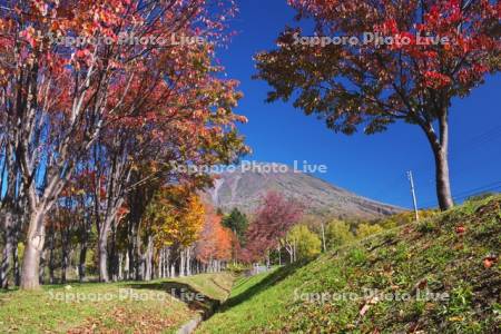 羊蹄山と羊蹄山自然公園の紅葉
