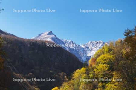 黒岳(大雪山）の雪と紅葉