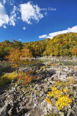 神居古潭の紅葉と石狩川