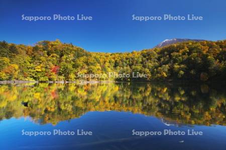 半月湖の紅葉と羊蹄山