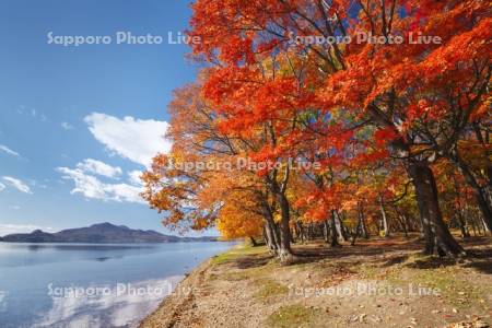 洞爺湖の紅葉と有珠山