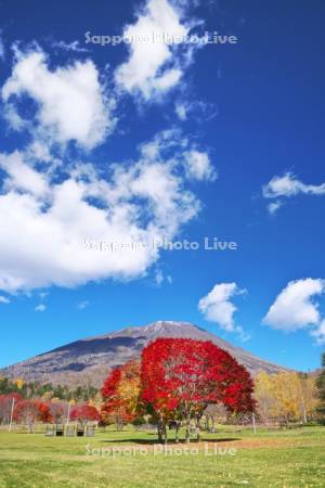 羊蹄山と羊蹄山自然公園の紅葉