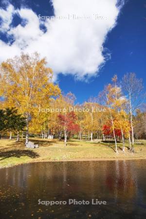 羊蹄山と羊蹄山自然公園の紅葉