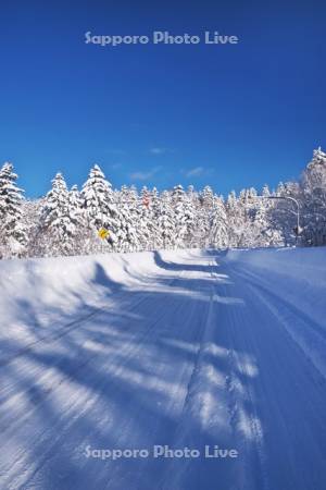 旭岳温泉付近の冬の道