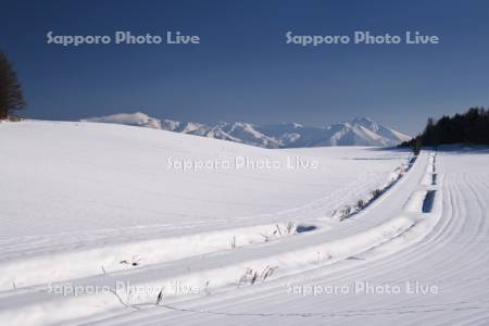 十勝岳連峰と冬の道