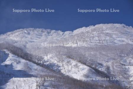 オロフレ峠の樹氷