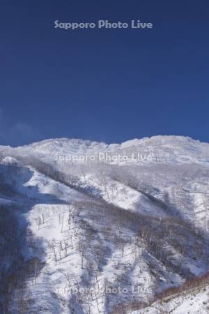 オロフレ峠の樹氷