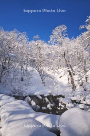 ふきだし公園と樹氷