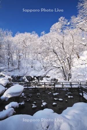 ふきだし公園と樹氷