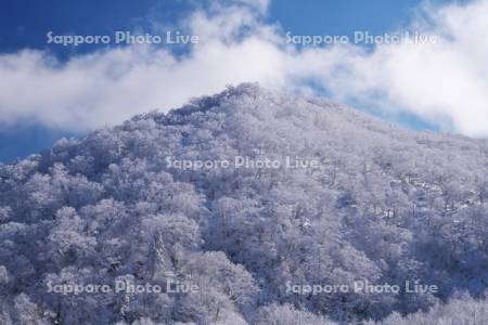 オロフレ峠の樹氷