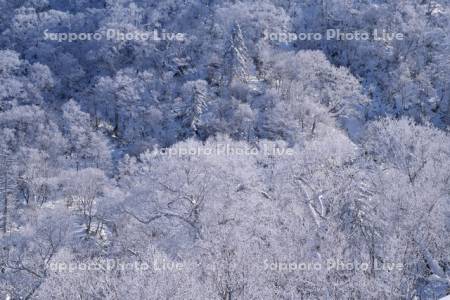 オロフレ峠の樹氷