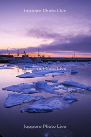 羅臼港の朝と流氷