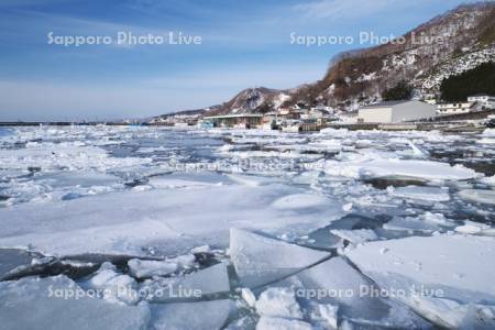 羅臼港と流氷