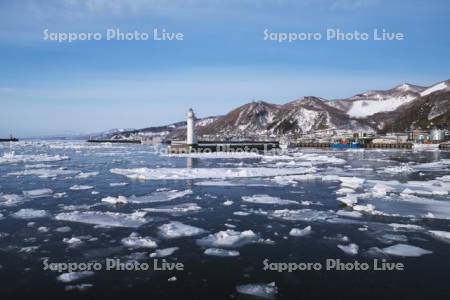 羅臼港と流氷