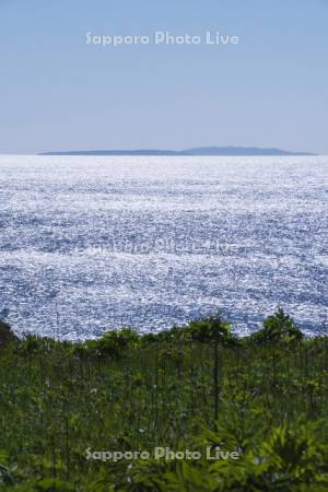 焼尻島と天売島と日本海