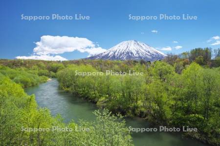 羊蹄山と尻別川