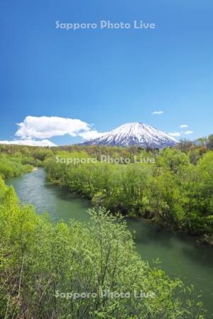 羊蹄山と尻別川