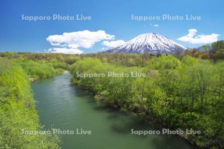 羊蹄山と尻別川